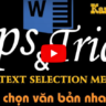 MS Word Tips & Tricks – #2 – Cách chọn văn bản nhanh chóng / Quick Text Selection Methods